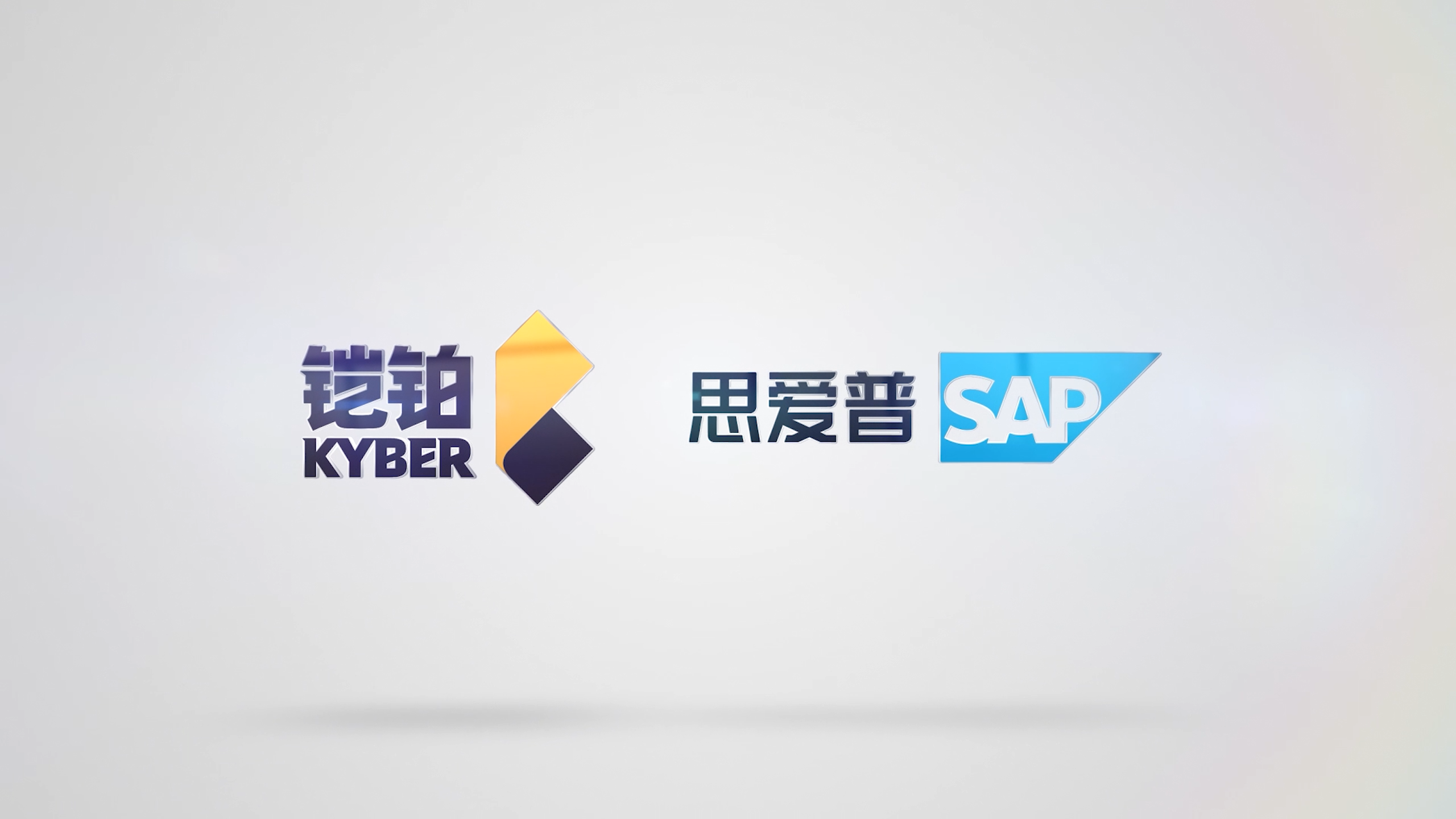 铠铂-SAP-服务简介